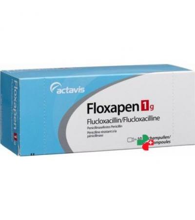 Флоксапен 1 грамм 10 флаконов сухого вещества