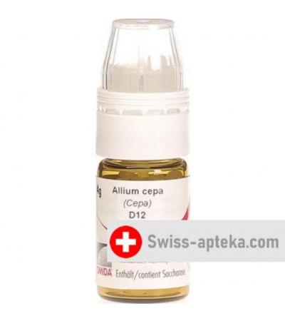 Omida Allium Cepa шарики D 12 м  4г