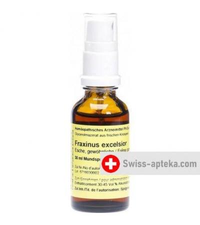 Spagyros Gemmo Fraxinus Excel Glyc Maz D 1 30мл