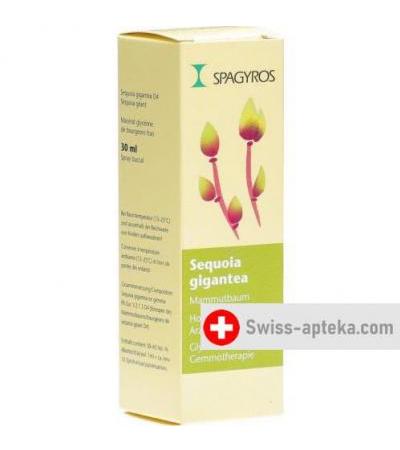 Spagyros Gemmo Sequoia Gigant Glyc Maz D 4 30мл