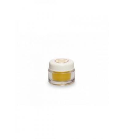 PLANTACOS Apricot Oil Lip Care 6 ml