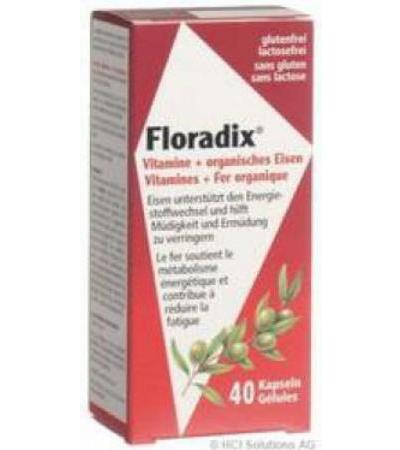 FLORADIX VITAMINE + ORGANISCHES EISEN KAPS 40 STK